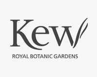 Kew Logo